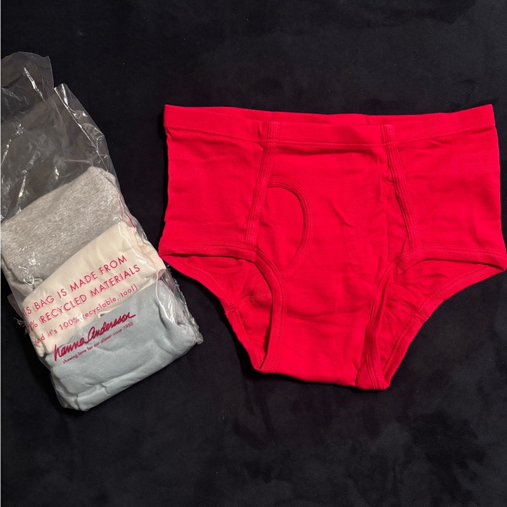 Hanna Andersson Boy’s Vibrant Red Briefs, 4 pairs